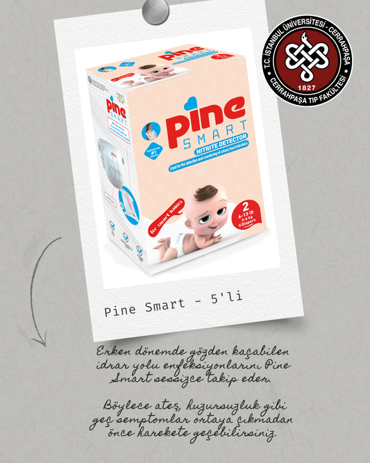 PİNE İle Tanışma Paketi