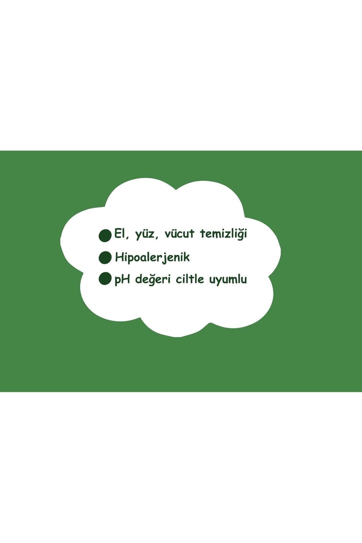 Aloe Vera Özlü Islak Mendil